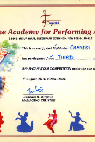 the-academy-of-performing-arts-New-delhi